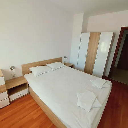 Belvedere Club Vip 59