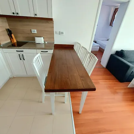 Belvedere Club Vip 59